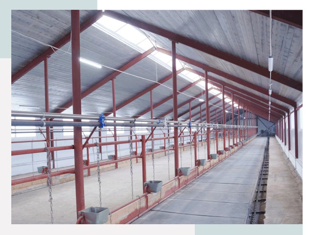 Строительство коровников в Назрани от 616 руб.