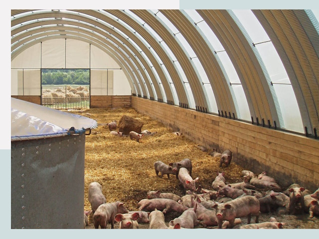 Строительство свинарников в Назрани